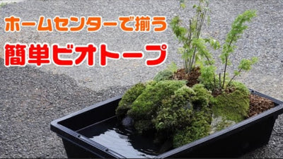 【初心者向け】ホームセンターで全部揃う！誰でも作れる簡単ビオトープ！