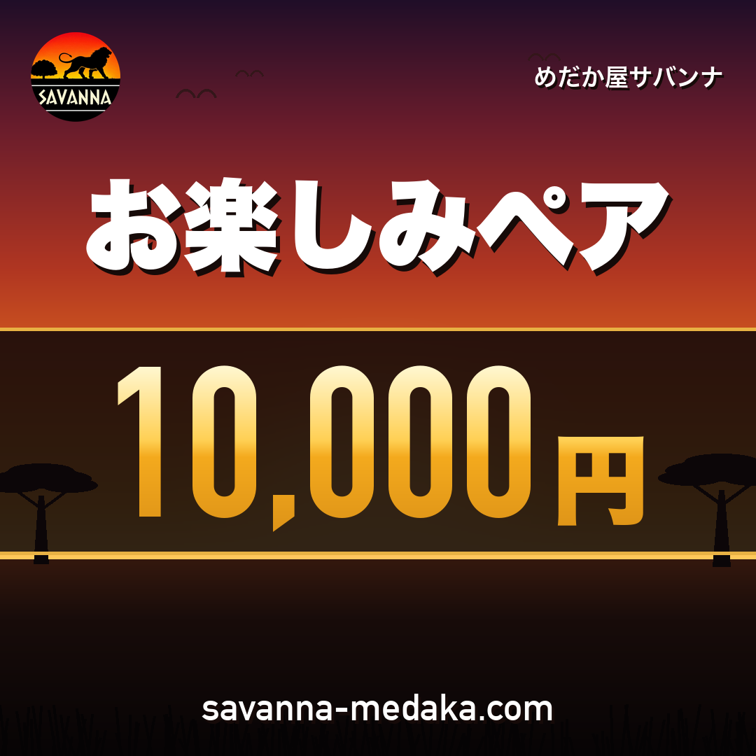 お楽しみペア　10,000円