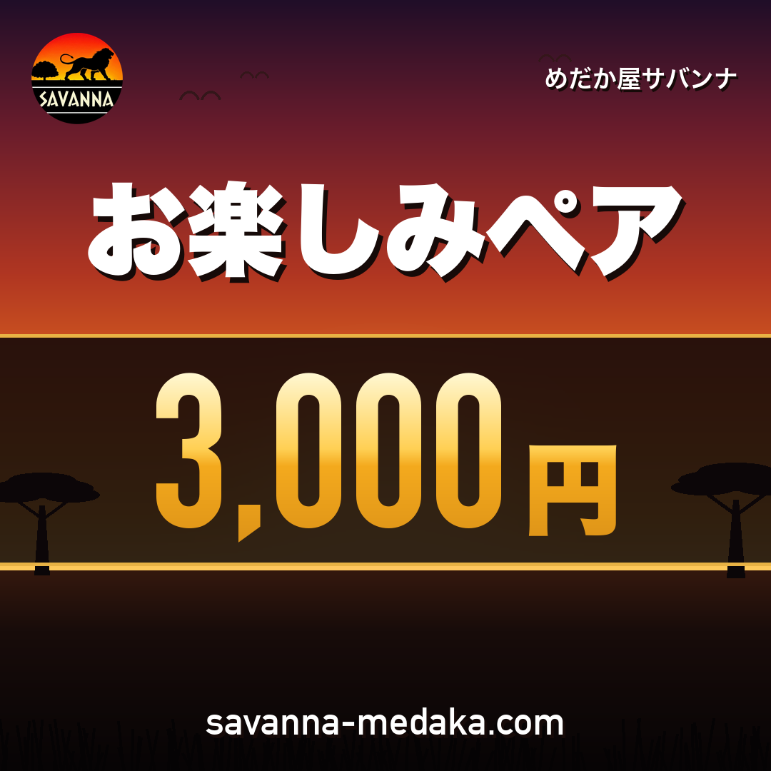 お楽しみペア　3,000円